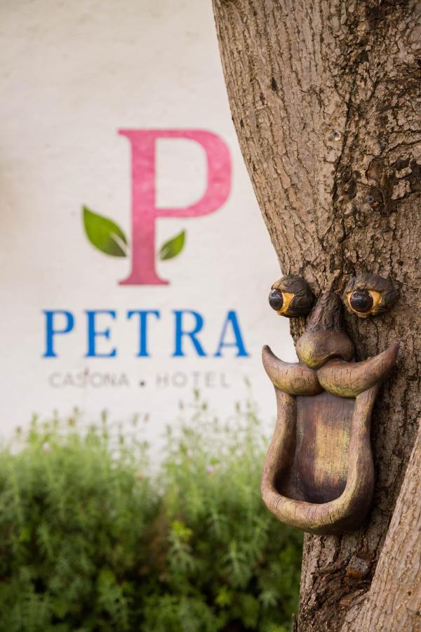 Hotel Petra Сан Мигел де Аленде Екстериор снимка